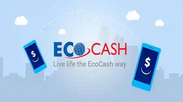 Ecocash$ave Suspended With Effect From 6 March