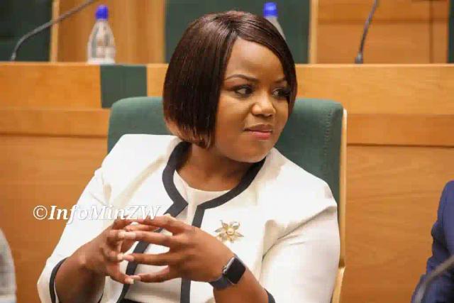 Fadzayi Mahere Announces Resignation From Parliament