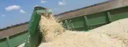 Govt Announces Grain Producer Prices