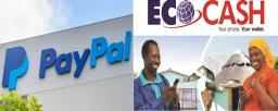 JUST IN: PayPal Can Send Money Directly Into Ecocash