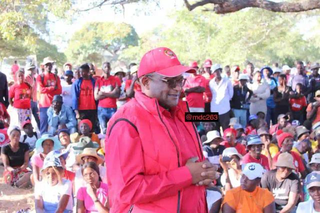 Mwonzora Says Witness Dube Was "Bought" By ZANU PF