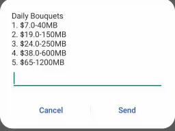 New Econet Data Prices