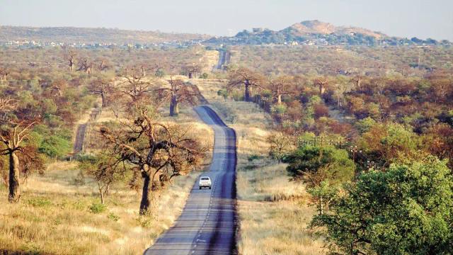 Over 300 Zimbabweans Arrested In Musina