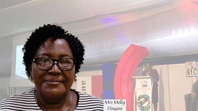 President Mnangagwa Approves Appointment Of Mrs Molly Dingani To NRZ Board