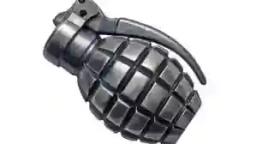 Suspected Grenade Explosion Kills 2 Children In Matabeleland North