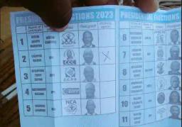 Voters Can Get Replacements For Spoilt Ballot Papers - ZEC