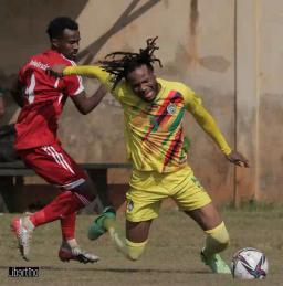 Zimbabwe, Cameroon Friendly Match Cancelled