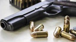 Zimbabwe Republic Police Prohibits Carrying Firearms In Public Gatherings