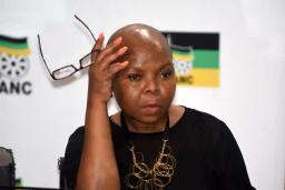 ANC Announces Formation Of Government Of National Unity
