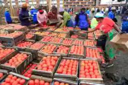 Bulawayo Senator Accuses ZANU PF Space Barons Of Fleecing Vendors