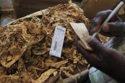 FULL TEXT: Robbers Waylay Tobacco Farmers