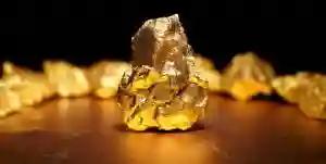 Gold Buyer Buys Fake Gold Worth US$24 000