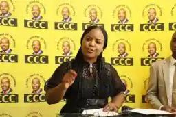 JUST IN: CCC Says "Suspected ZANU PF Thugs" Attacked And Injured Bulawayo MP, CCC Members