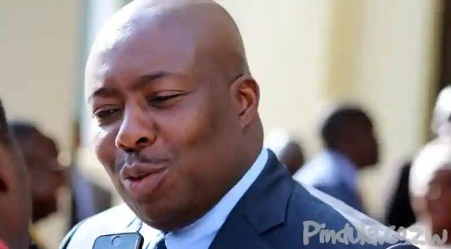 Kasukuwere Nomination High Court Judgement Flawed - Legal Watchdog