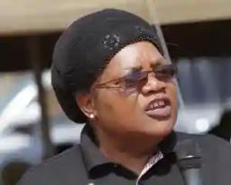 Mai Mujuru Quits Politics