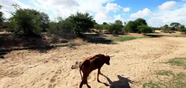 Major Dams Water Levels Decline