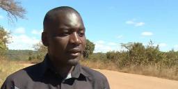 Mamombe, Colleagues Protest Demanding Makomborero's Release