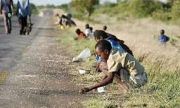 More Than 2.7 Million Zimbabweans In The Countryside Are Facing Hunger - Report