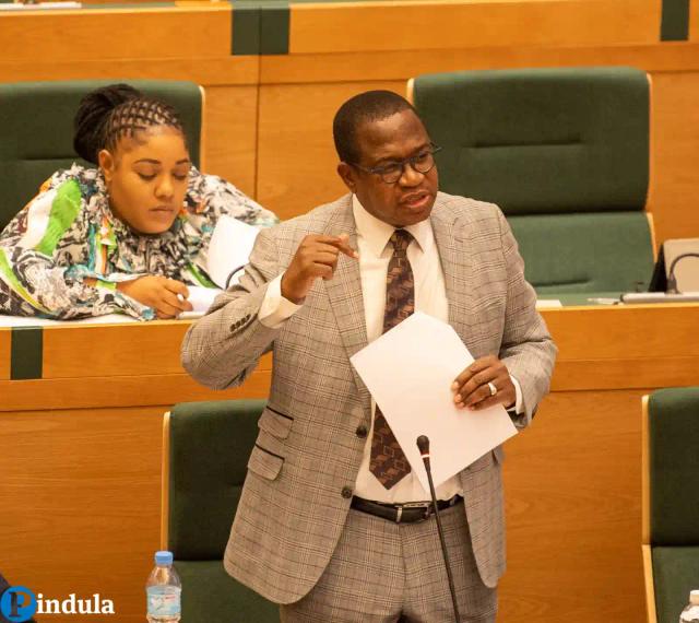 Mthuli Ncube Revises Passport Fees