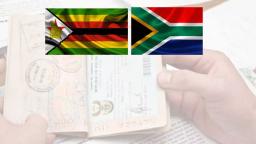 New Research Shows Cancellation Of ZEP Visas Will Harm South Africans As Well