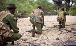 Poacher Arrested In An Ambush In Lupane, Accomplices Escape