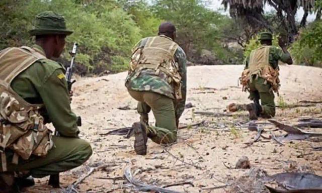 Poacher Arrested In An Ambush In Lupane, Accomplices Escape