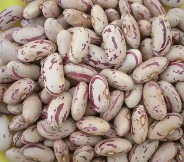 Sugar Beans Farmers Demand Fair Prices