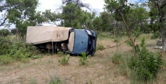 Video: Charging Elephant Overturns Safari Vehicle