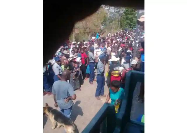 Video:  Zimbabweans Queue For Cooking Oil