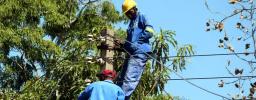 Zimbabwe Power Company Cancels US$133 Million Tender